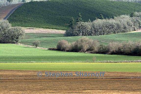 oregon farm fields 1 graphic